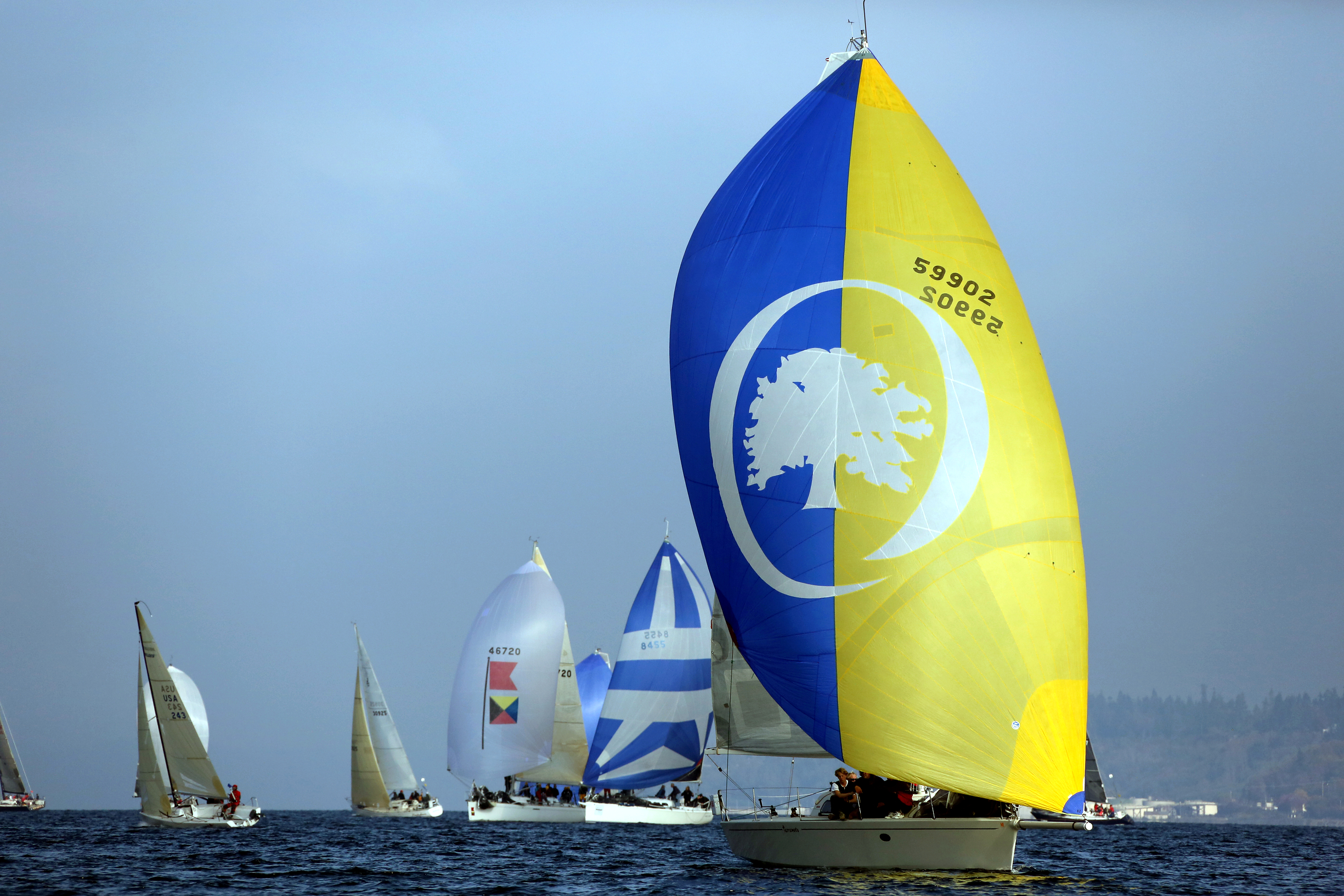Grand Prix Sail, October, 2013